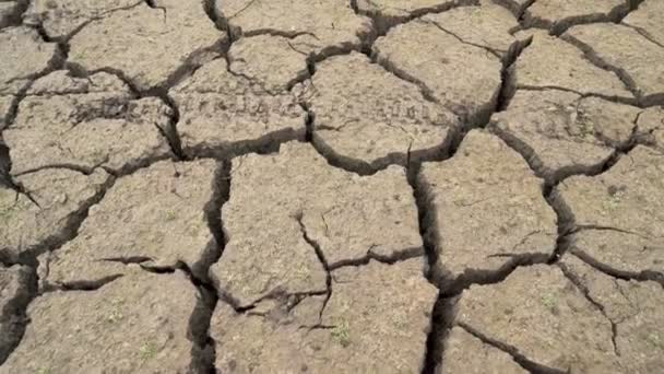 Gebarsten bodem veroorzaakt door slechte droogte in Bulgarije. Studena dam bij Pernik, Bulgarije — Stockvideo