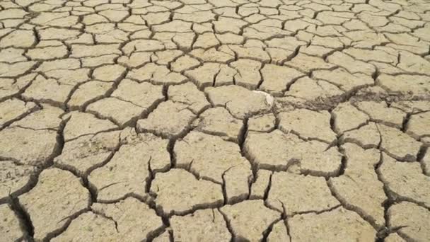 Devastating drought caused by global warming left Studena Dam dried, Pernik, Bulgaria — Stock Video