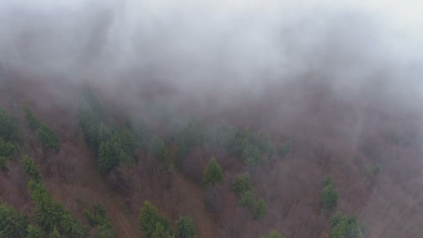 Niebla blanca parecida al humo sobre el bosque de otoño y las cimas de las montañas en Bulgaria — Vídeos de Stock