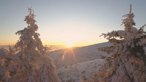 Atardecer valle congelado árboles siempreverdes y montañas cubiertas de nieve en Bulgaria — Vídeos de Stock