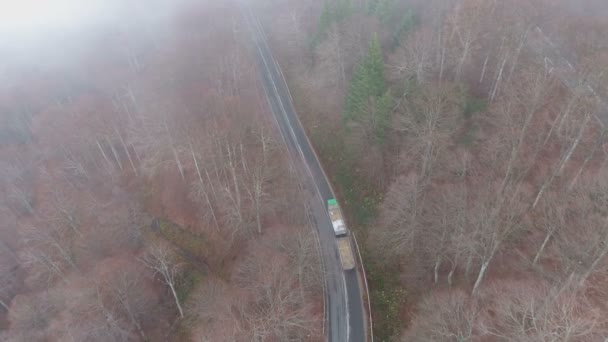 Sisli bir sonbahar gününde dağ ormanlarında yokuş yukarı giden ağır yüklü kamyon, insansız hava aracı manzarası. — Stok video