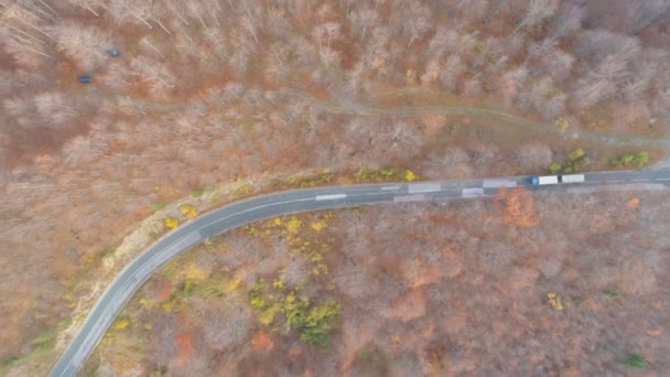 Drone volgt auto 's en vrachtwagens op bochtige weg door het bos — Stockvideo
