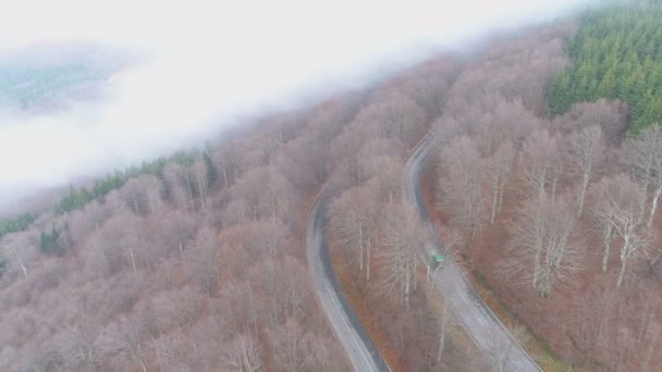 Grüner Sattelzug fährt auf kurvenreicher nebliger Waldstraße in Bulgarien — Stockvideo