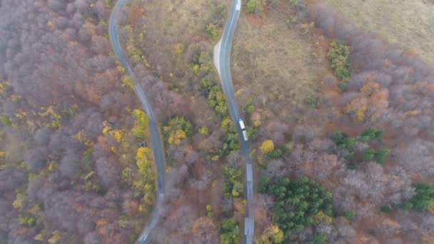 Грузовик проезжает по дороге через лес. Вид с воздуха на грузовики и автомобили, движущиеся по дороге — стоковое видео