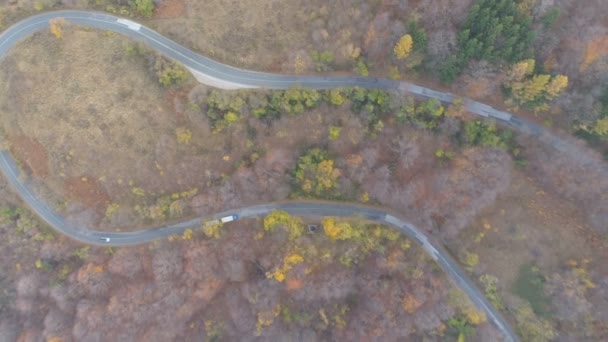 Caminhão branco da empresa de logística com carga está dirigindo na estrada de asfalto na paisagem rural — Vídeo de Stock