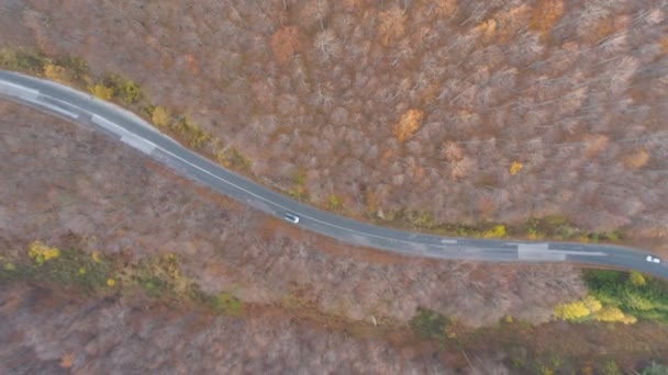 Carro passando pela estrada da montanha. Drone segue carro de condução lenta — Vídeo de Stock