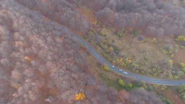 Drönare jagar bilar som kör på asfalterad väg uppför i fjällskog på hösten — Stockvideo