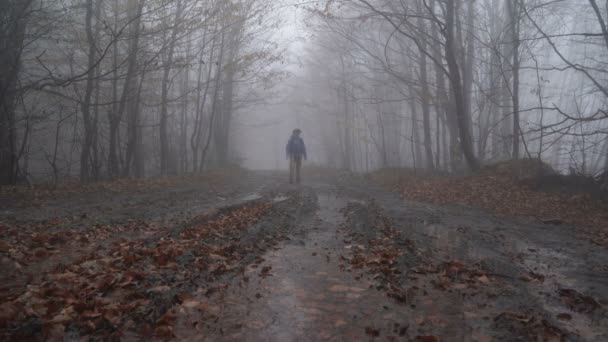 L'uomo nella realtà virtuale in una foresta nebbiosa spettrale con occhiali VR. Realtà virtuale Concetto di gioco — Video Stock