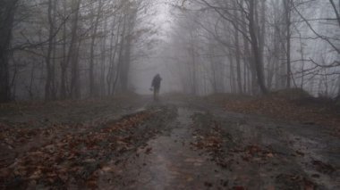 Wet male tourist lost in the forest. Devastated man wandering through misty forest 