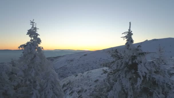 Puesta de sol vista a través de las copas de árboles congelados en las montañas de invierno — Vídeos de Stock