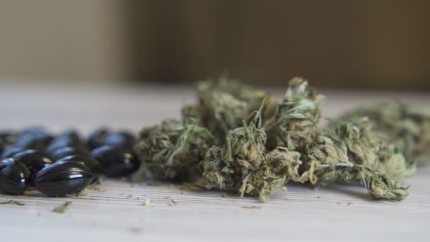 Yüksek CD içerikli güzel taze tomurcuklar, Tıbbi Marihuana Çiçeği — Stok video