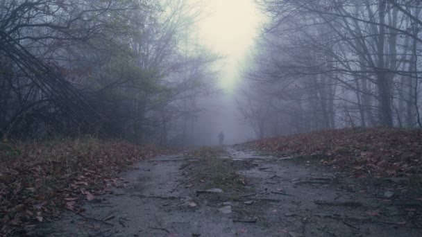 Homem solitário com bengalas e mochila vagando na floresta nebulosa chuvosa — Vídeo de Stock