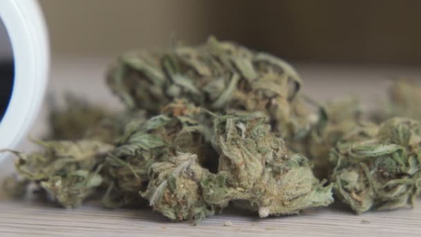 Concepto de cannabis medicinal. Flores brotes de marihuana CBD. Hierba cbd o cáñamo — Vídeos de Stock