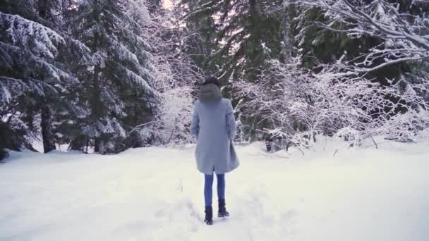 Zurück Ansicht des Mädchens zu Fuß in den tiefen Wald in großen Schnee — Stockvideo