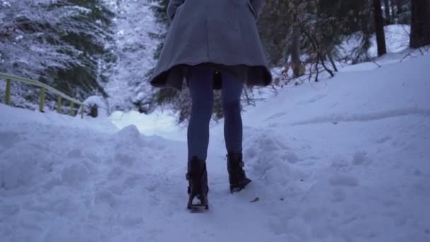 Vue à angle bas de la fille en jeans marchant dans la neige bouffie profonde — Video