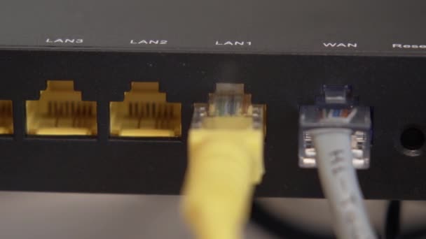 Gult internet Lan kabel ansluten med Router. Utrustning, teknik — Stockvideo