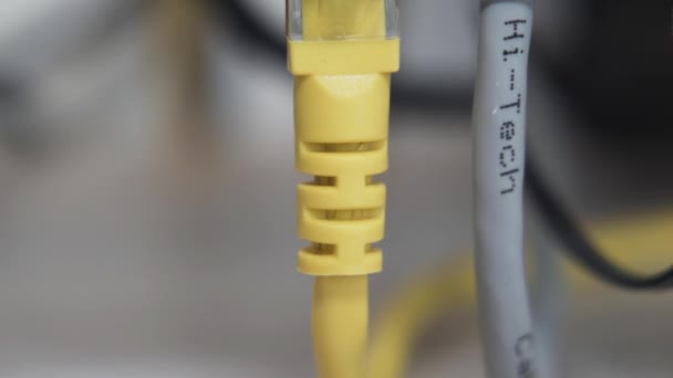 Kable sieciowe podłączone do routera lub przełącznika w biurze — Wideo stockowe