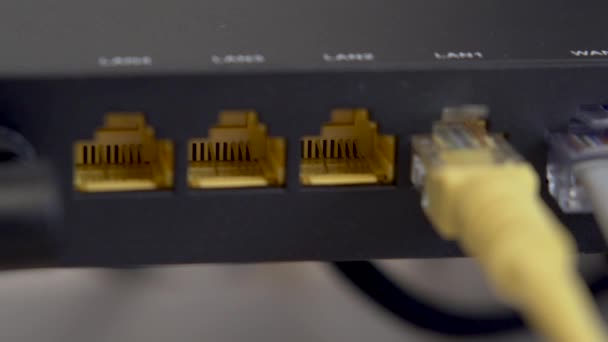 Интернет-кабели, подключенные к маршрутизатору — стоковое видео