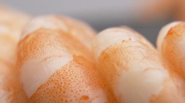 Makro karides segmentli karın çekimi.