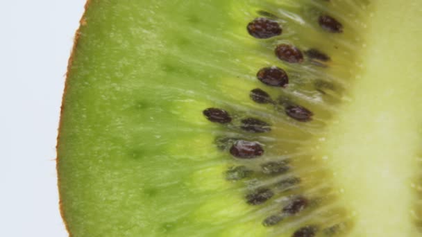 Macro shot de sementes de kiwi. Sementes frescas de kiwi maduro — Vídeo de Stock