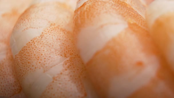 Macro shot dei segmenti Raw Tiger Shrimp con colori vivaci — Video Stock