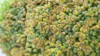 Masada taze organik brokoli. Makro Kaydırıcı Çekimi