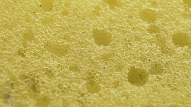 Macro de la esponja amarilla. Fondo de textura de esponja detallada — Vídeos de Stock