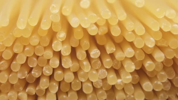 Pasta sin cocer spaghetti macro shot — Vídeo de stock