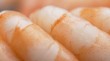 Kral Karides Makro 'nun bölümlü karnı canlı renklerle çekilir.