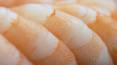 Kaplan karides makro shot 'ı. Pişmiş karides ya da karides makro çekim sineması