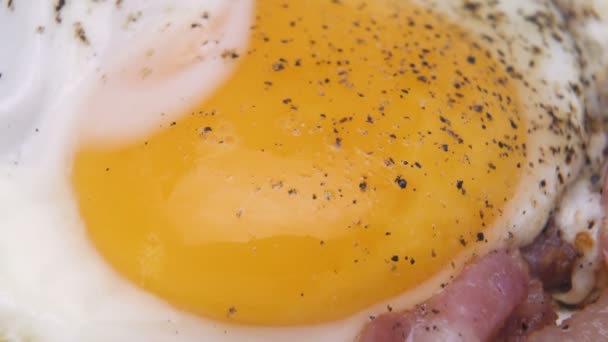 Huevo de pollo bio con tocino condimentado con pimienta negra. Yema de huevo amarillo con pimienta negra — Vídeos de Stock