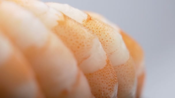 Makroaufnahme von Shrimps oder Garnelen. Rohe oder gekochte Meeresfrüchte Hintergrund — Stockvideo