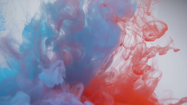 Regenboog gekleurde inkten explosie en werveling in water — Stockvideo