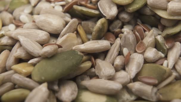 Sementes comestíveis descascadas numa pilha. Macro shot de texturas de sementes — Vídeo de Stock