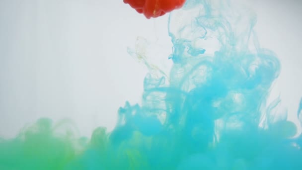 Le gocce di vernice di colore blu e giallo rosse in acqua nel movimento lento — Video Stock