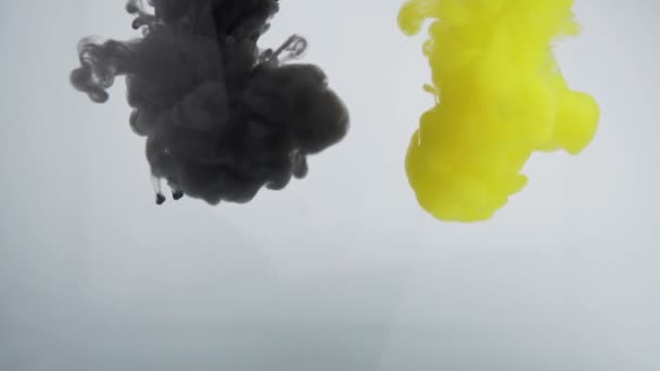 Black and yellow colored clouds mixing underwater in chemical reaction. Colorful inks — Stock Video