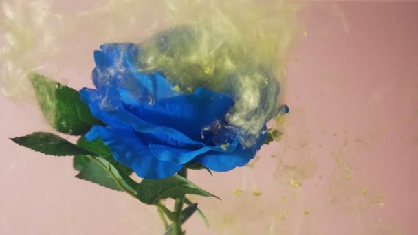 Wirbelnder goldener Staub schwebt um die blühende blaue Rose. Nahaufnahme der unter Wasser treibenden Goldpartikel — Stockvideo