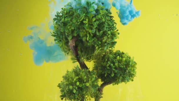 Lebendiger blauer Nebel bedeckt hellgrünen Baum vor gelbem Hintergrund — Stockvideo