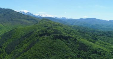 Karlı dağ sıralarının panoramik manzarası ve muhteşem yeşil orman ve tepeler. Görkemli dağ manzaraları