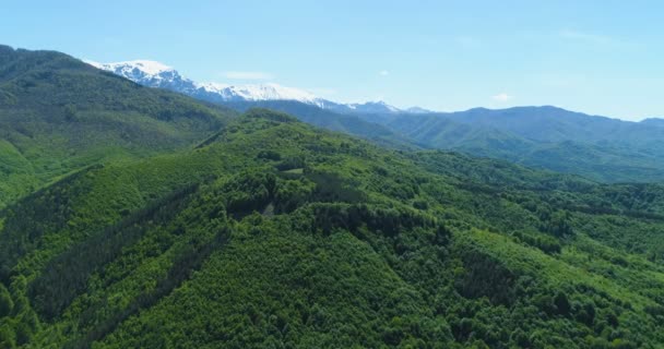 Великолепный вид на заснеженный горный хребет и великолепный зеленый лес с шипами. Величественные горные пейзажи — стоковое видео