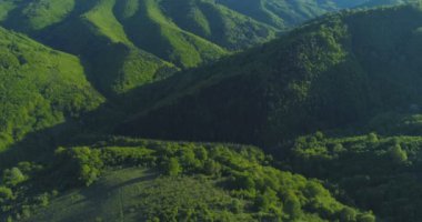 Dağlardaki çayırların ve otlakların üzerinden uçarak 