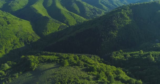 Flug über Frühlingswiesen und Almen hoch in den Bergen — Stockvideo