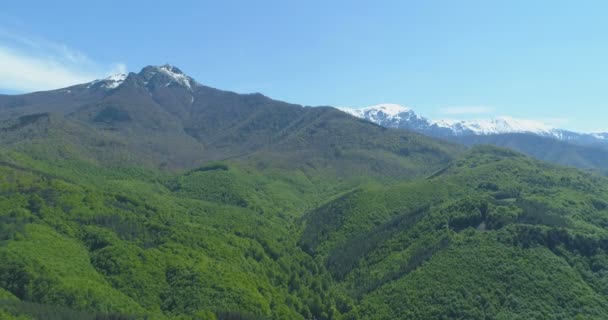 Aerial view of snow covered mountains in sunny spring day under blue sky. Vibrant green forests at the bottom of the mountain — Stock Video