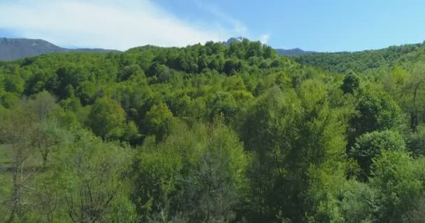 Luchtfoto voorjaar groene heuvels en bergen — Stockvideo