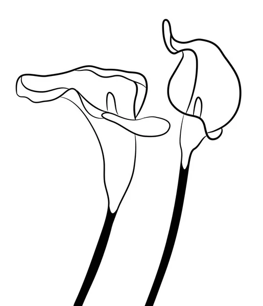 雄蕊图库矢量图片 免版税雄蕊插图 Depositphotos