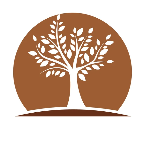 白色背景下棕色圆圈中树的符号 — 图库矢量图片