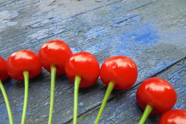 Sieben Rote Saftige Kirschen Einer Reihe Auf Einer Blauen Holzoberfläche — Stockfoto