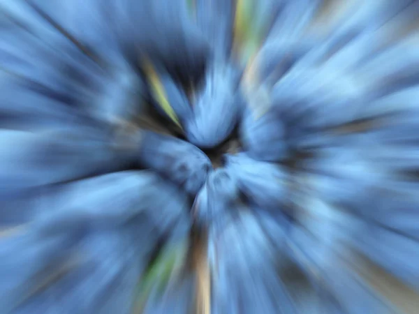 Blue Berries Specially Blurred Image Blue Blurred Background Radial Blur — Stock Photo, Image