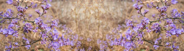 Fond Naturel Défocalisation Fleurs Étatiques Violettes Hors Mise Point Sur — Photo