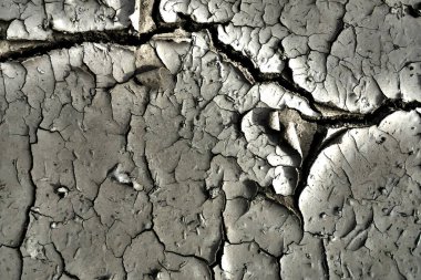 black and white photo. dry cracked earth top view